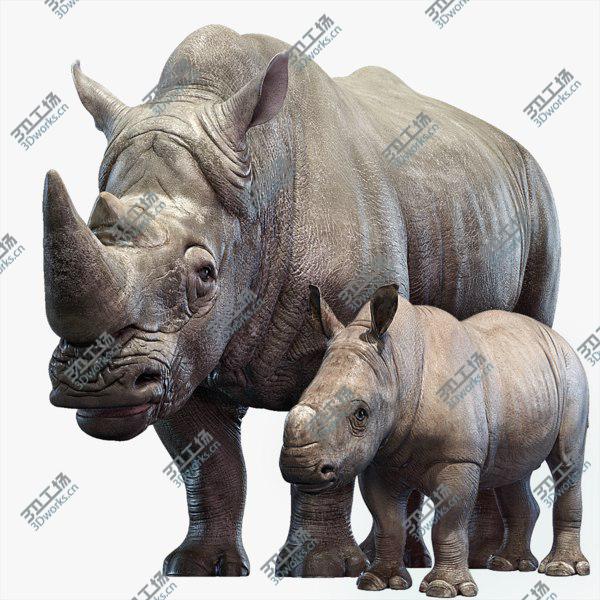 images/goods_img/20210312/Rhino Family 3D/1.jpg
